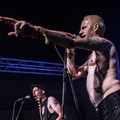 GutterPunk - Professional Concert Photography